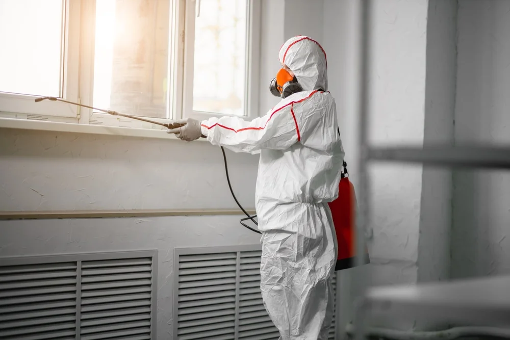 Professional mold remediation services in North Arlington, NJ